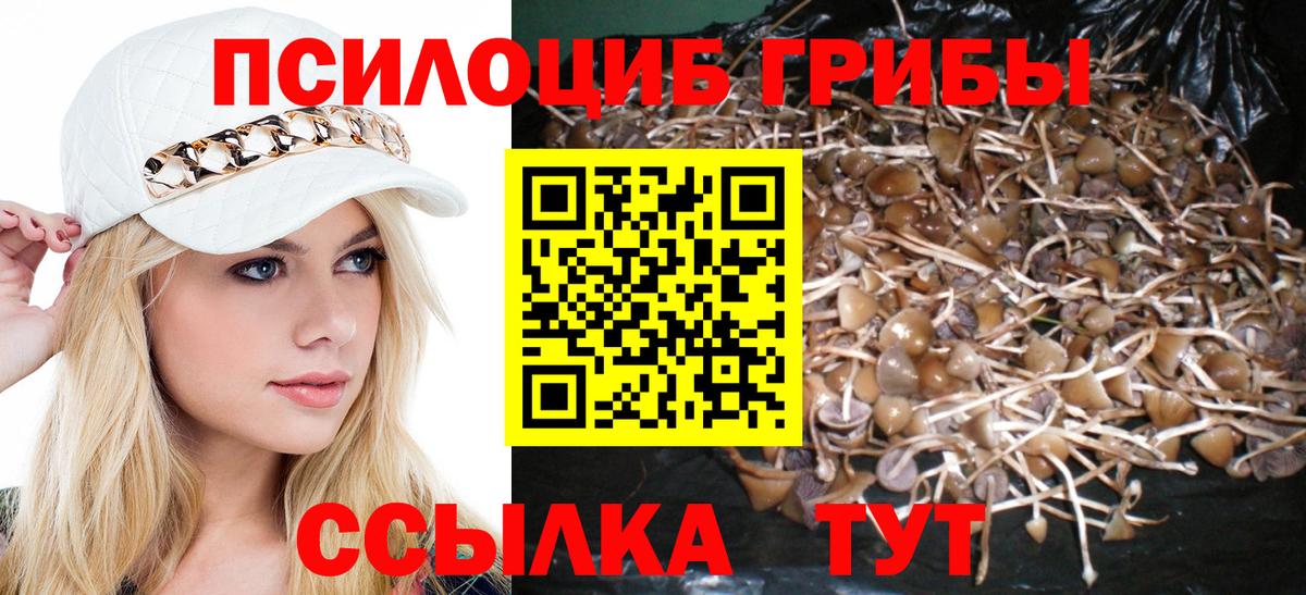 Лабытнанги  Галлюциногенные грибы Psilocybine cubensis  Вход с VPN 
