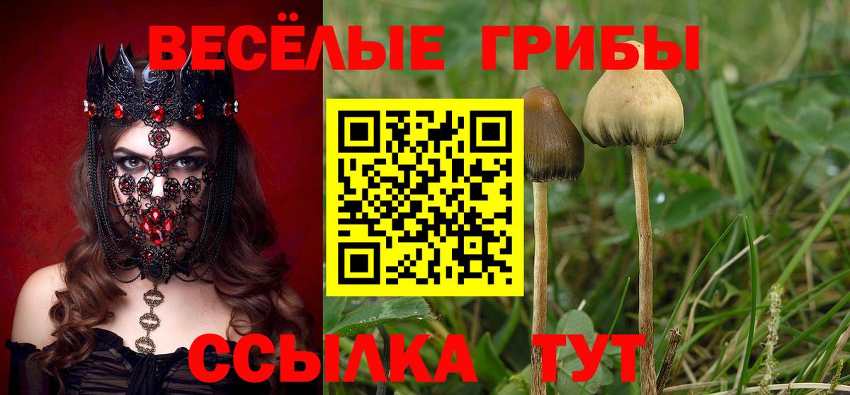Галлюциногенные грибы Psilocybe Лабытнанги