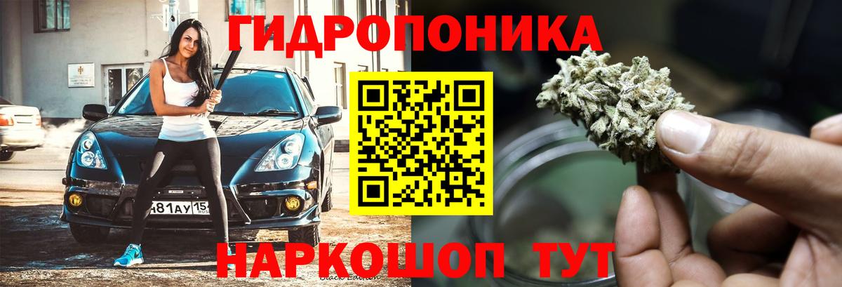 Марихуана гибрид  Бошки Шишки планчик  Каннабис конопля  Лабытнанги  Бошки Шишки планчик  Вход с VPN 